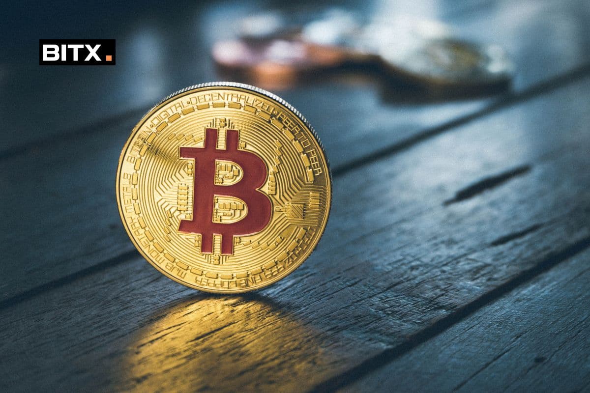 The Role of Supply in Bitcoin’s Distributed ledger: An Examination of Scarcity and Inflation