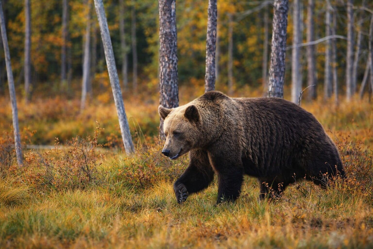 Bitcoin Falls Below $76K as Mixed Onchain Signals Cloud Market Direction