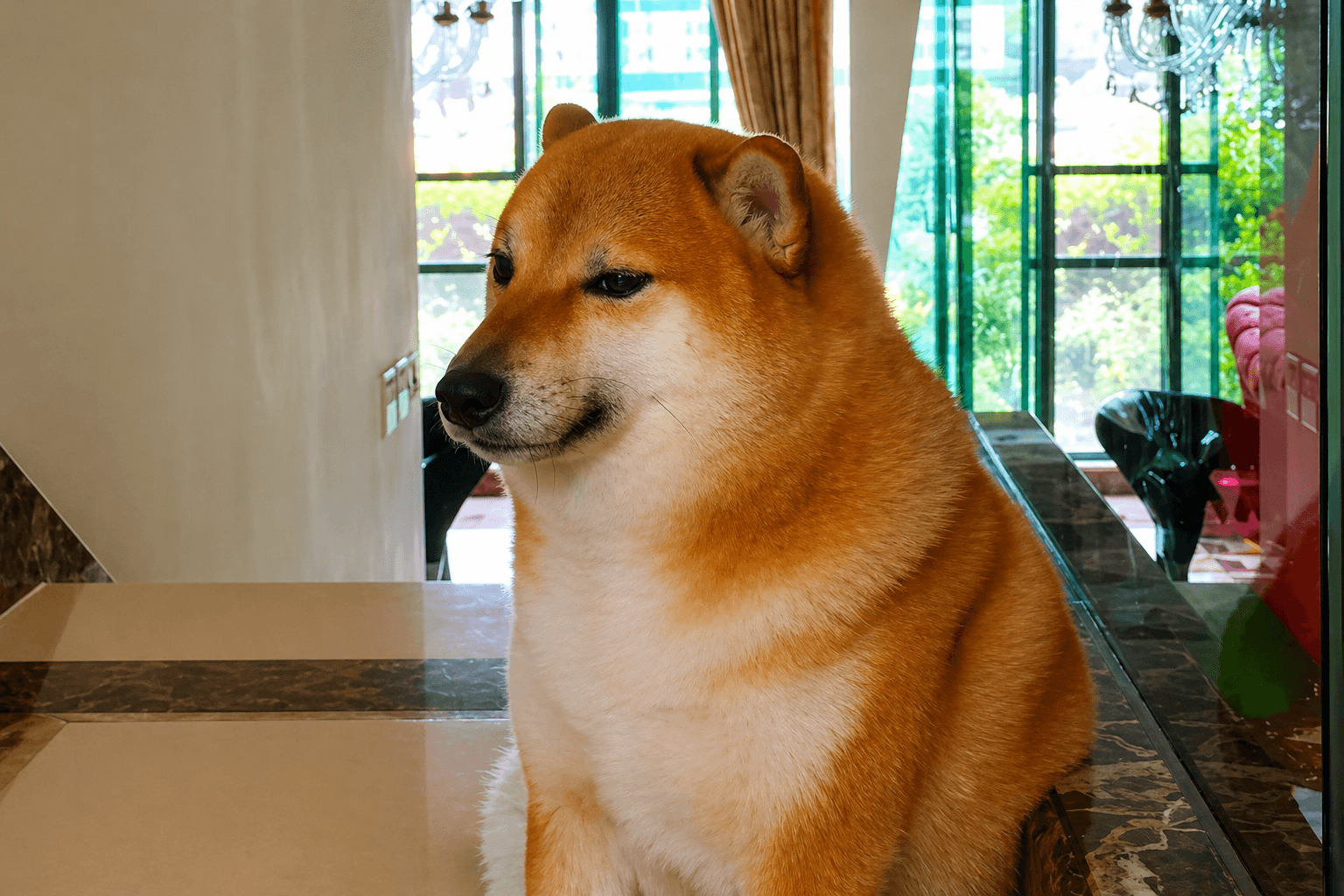 Dogecoin Price Surges 5% as Bitcoin Rally Lifts Meme Coin Market