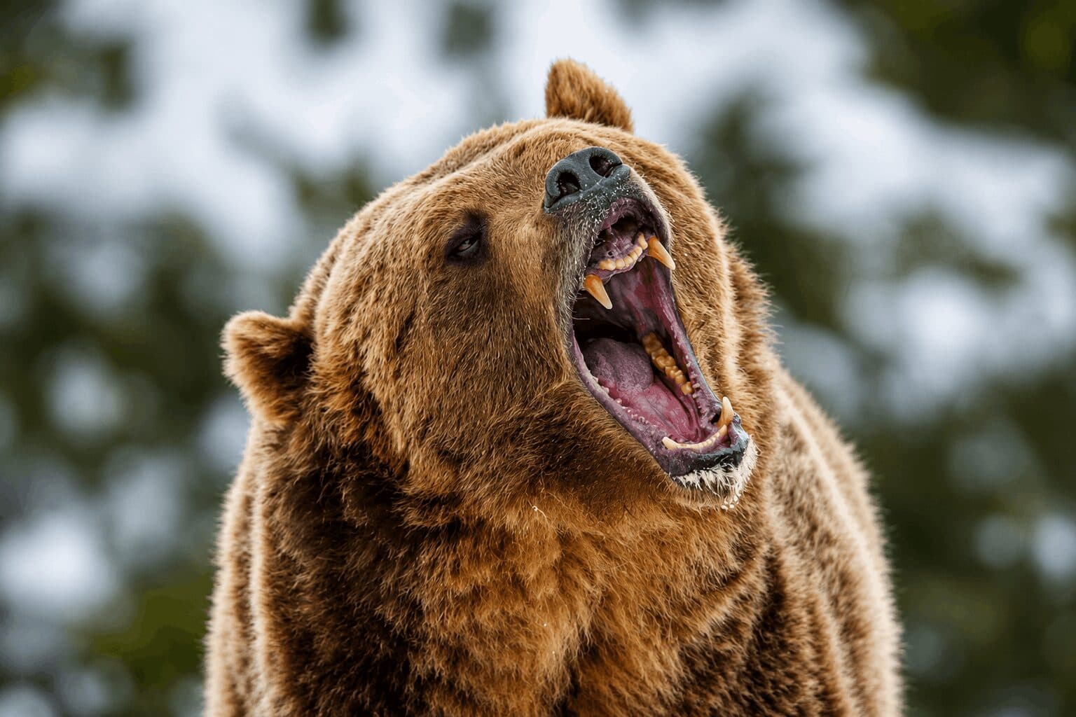 Bitcoin Price Risks Deeper Drop as “Sell in May” Pattern Signals Weak Summer Outlook