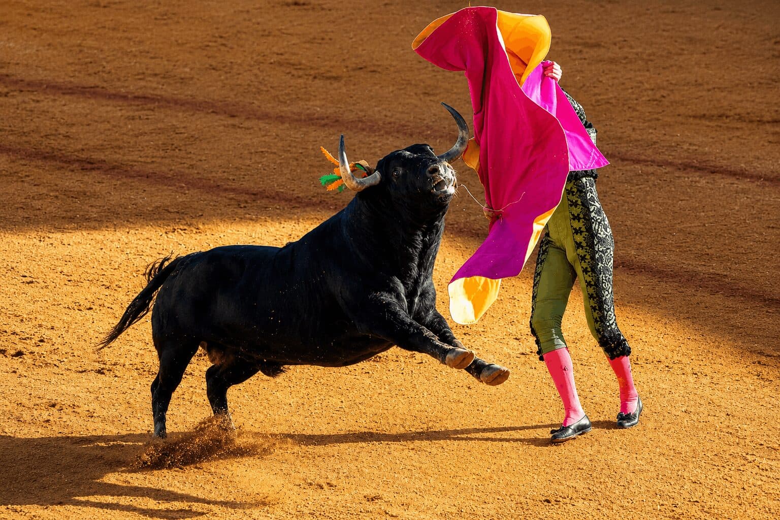 Bitcoin Sentiment Turns Most Bullish of 2026 as Analysts Warn of Pullback Risk
