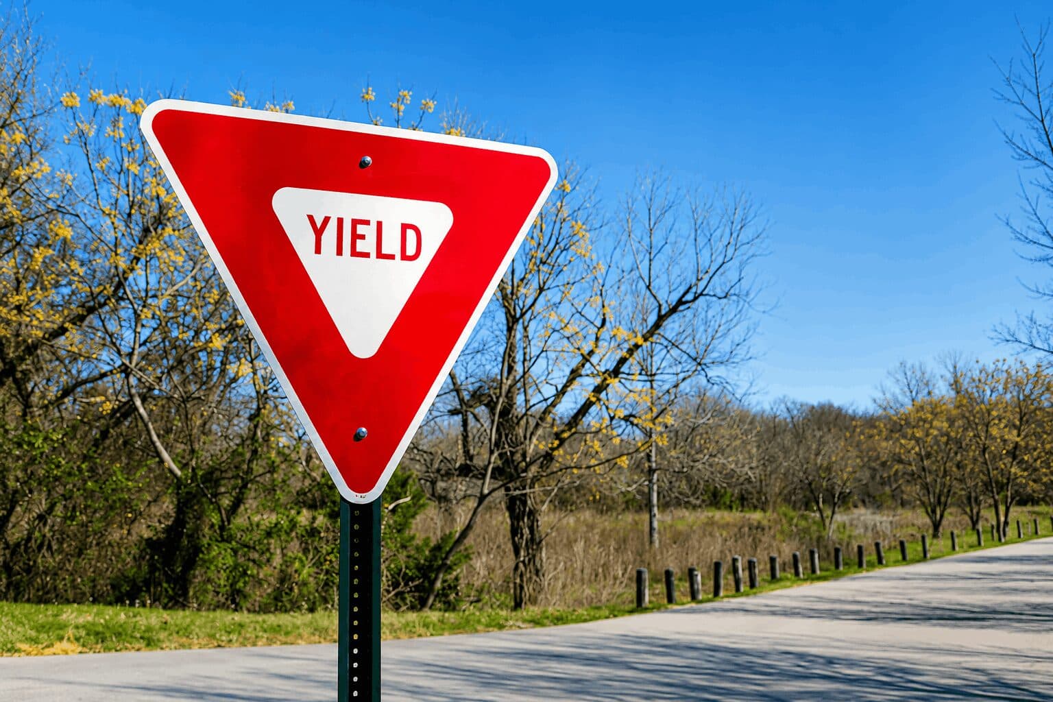 DeFi Insurance Falls Behind as Crypto Users Focus on High Returns