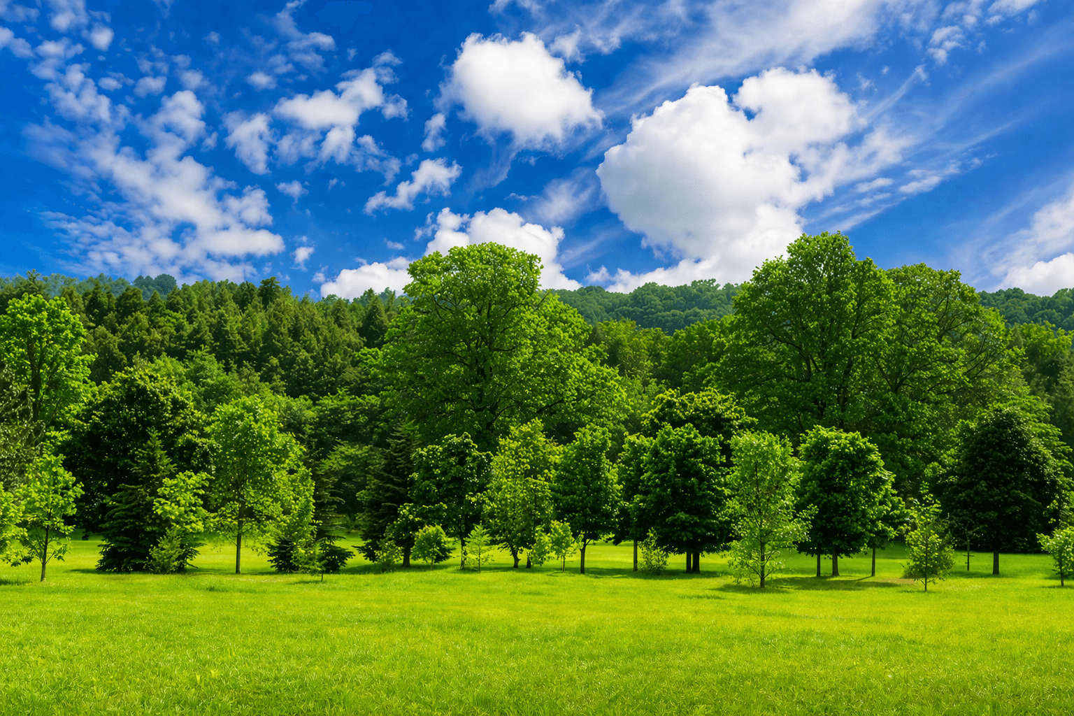 WisdomTree Crypto ETP Inflows Reach $137 Million in Q1 2026