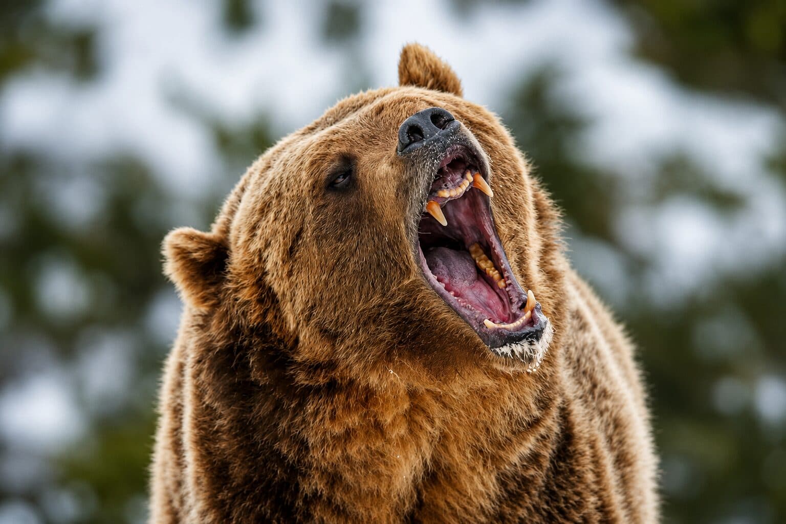 Bitcoin Price Drops Below $67,000 as Liquidations Fuel Market Sell-Off