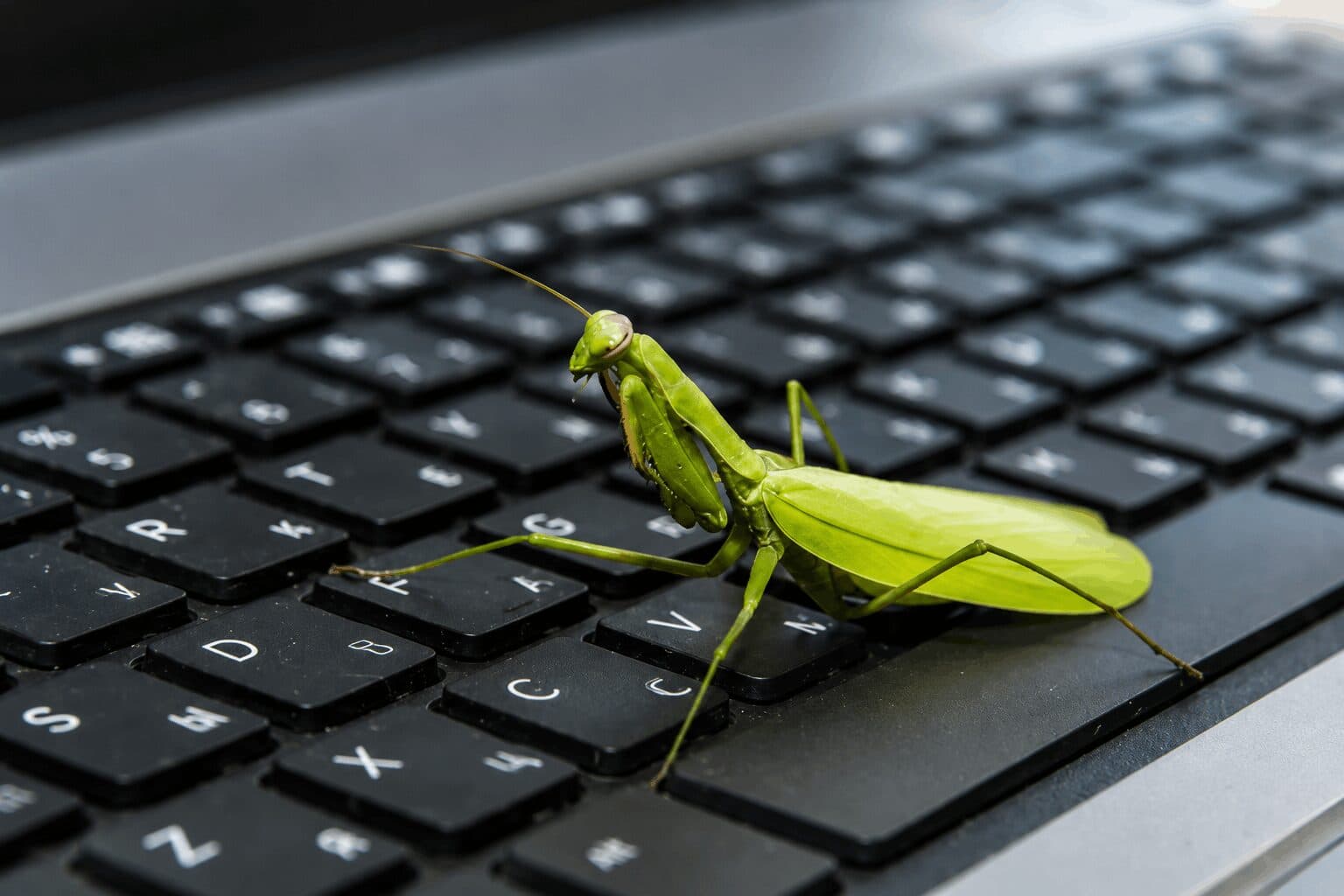 Bitcoin Developers Uncover Nearly 5,000 Bugs In Coordinated Security Sweep