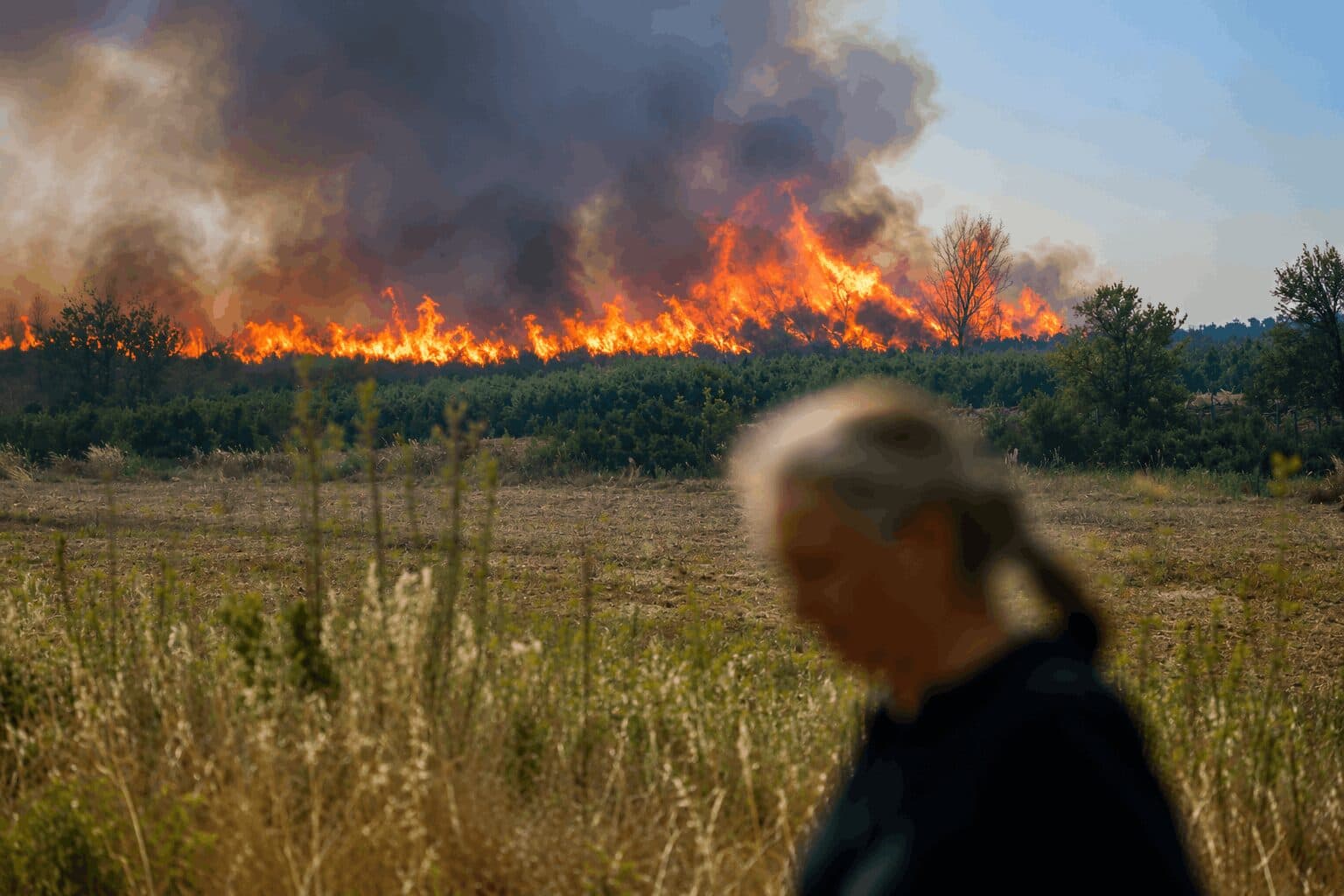 France Evacuates 525 Residents as New Wildfire Strikes Southwestern Pine Forest