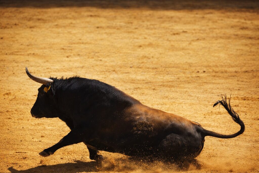 Institutions Drive Crypto Bull Market While Retail Investors Remain Absent